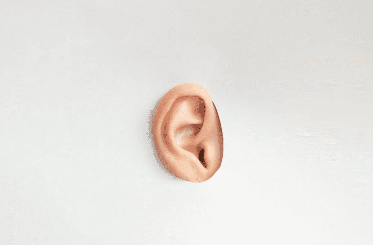 an ear on paper