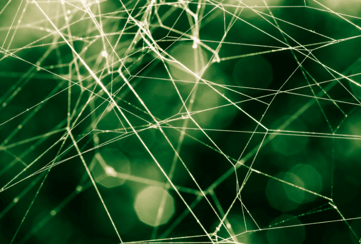 web on a green background