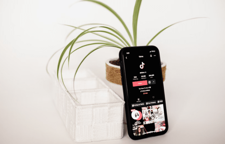 Tiktok on a phone screen in front of a plant